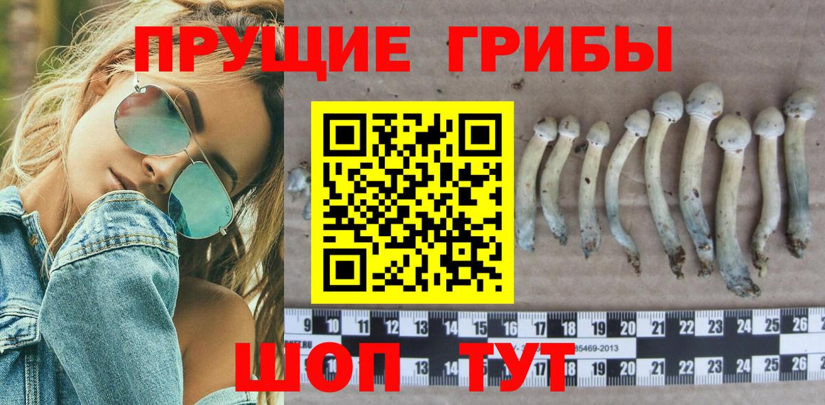 Галлюциногенные грибы Magic Shrooms Славгород